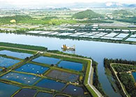 汪博士受邀至珠海市水產(chǎn)研究所進(jìn)行學(xué)術(shù)交流