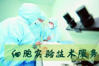 美迪西細胞實驗服務外包