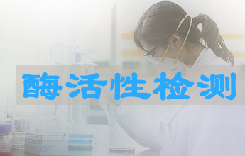 美迪西酶活性測定服務