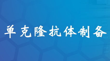單克隆抗體制備