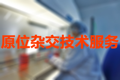 美迪西原位雜交技術(shù)服務(wù)