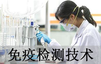 美迪西免疫學檢測技術分析服務