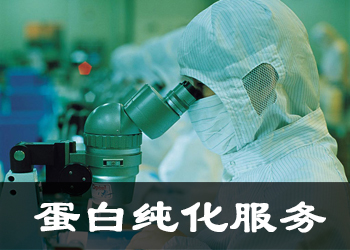 蛋白純化服務(wù)