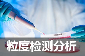 美迪西粒度分析檢測服務