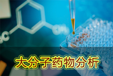 美迪西大分子藥物分析服務