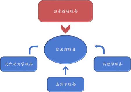 美迪西臨床前服務