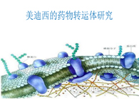 美迪西的藥物轉運體研究