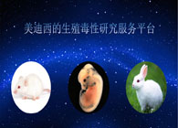 美迪西的生殖毒性研究服務平臺