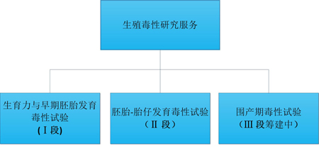美迪西的生殖毒性服務(wù)