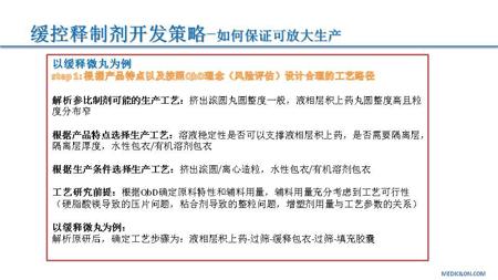 美迪西CMC部門黃沖演講PPT 4