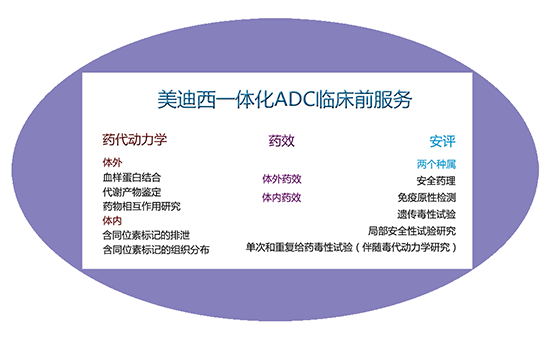 美迪西一體化ADC臨床前服務