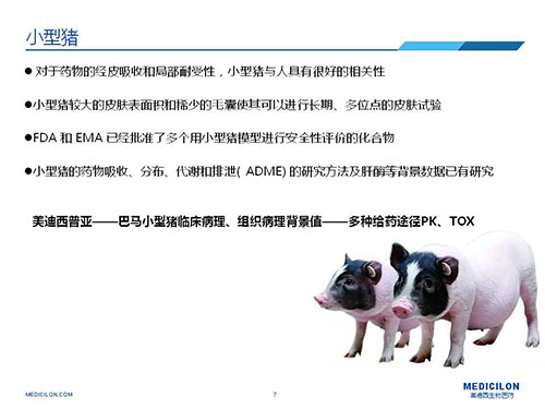 皮膚涂抹試驗中，受試動物選擇小型豬更好
