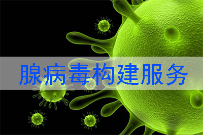 腺病毒構(gòu)建服務(wù)