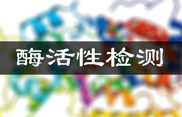 蛋白酶制劑檢測/酶活性分析測定