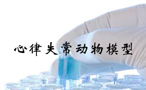心率失常動(dòng)物模型