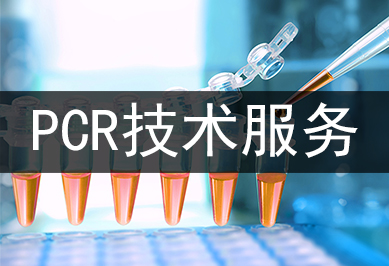 PCR技術(shù)服務(wù)及其運用