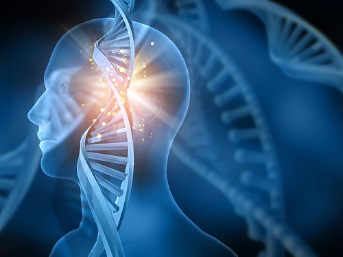 美迪西助力新藥研發(fā)又一階：海和生物與思路迪醫(yī)藥開啟抗腫瘤新藥合作