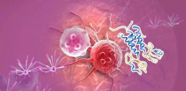 【盤點】高選擇性mTOR抑制劑的研究進程_美迪西生物醫藥
