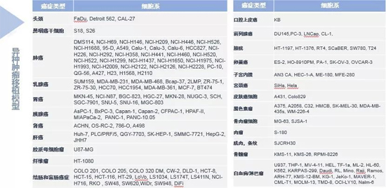 美迪西藥效學動物模型