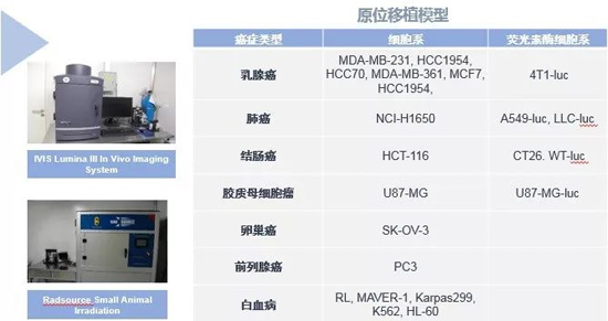 美迪西藥效學動物模型