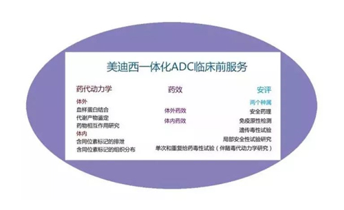 美迪西一體化ADC臨床前服務(wù)