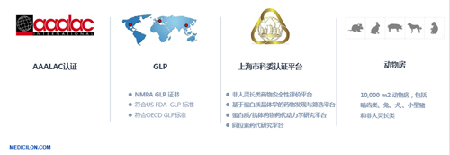 美迪西生物醫藥 臨床前研究