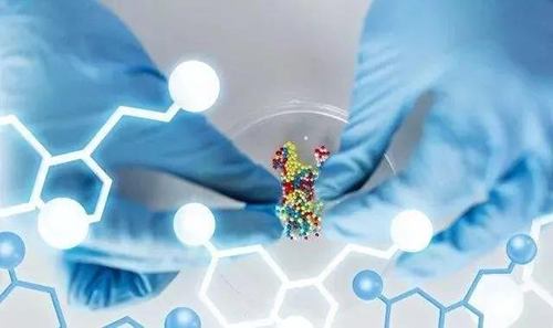 2019，美迪西一站式助力10個IND申報項目獲得臨床批件