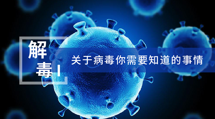 關(guān)于病毒你需要知道的事情 