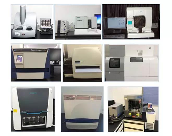 美迪西生物技術(shù)藥物分析部門擁有SpectraMaxM4/M5/i3x, MSD, Luminex, Biacore 8K, Envision, Gyrolab，ABI7500 qPCR等全方位多功能的技術(shù)平臺，利用LIMS系統(tǒng)實施全面的實驗室信息化管理，提供全面符合FDA/CFDA/OECD GLP規(guī)范要求的生物技術(shù)藥物分析服務(wù)。