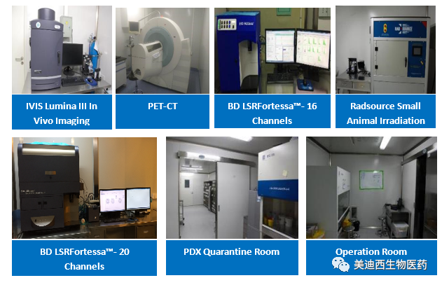 美迪西藥理部擁有IVIS Lumina III, PET-CT, BD LSRFortessa-16, Flow Cytometry等儀器,提供符合申報,支持臨床試驗的藥效評價服務。