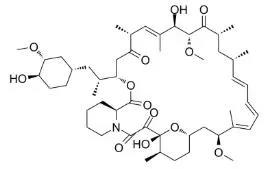 雷帕霉素新制劑用于罕見病，獲4500萬美元融資