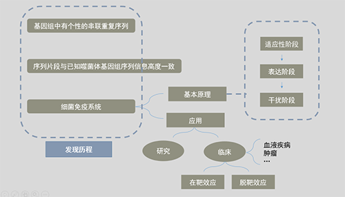 CRISPR基因編輯技術(shù)