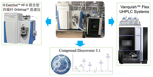 美迪西UHPLC-UV-QE HF-X系統