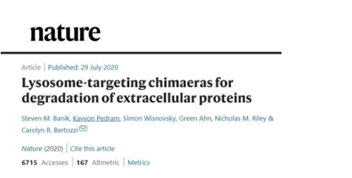 一種不同的蛋白降解技術(shù)——溶酶體靶向嵌合體(lysosome-targeting chimaeras, LYTACs)