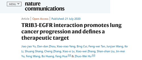 Nature|非小細胞肺癌治療新方案:靶向降解EGFR