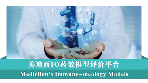 美迪西IO藥效模型評價平臺
