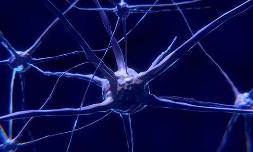 研究首次表明，與年齡有關(guān)的認(rèn)知喪失可能主要是由一種可逆的生理性“阻滯”而不是永久性的降解引起的。