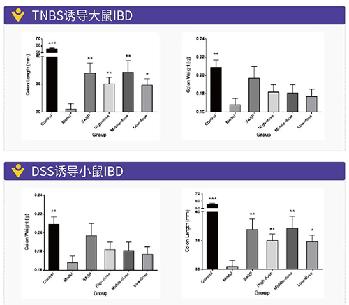 TNBS誘導的大鼠IBD、DSS誘導的大鼠IBD