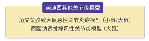 美迪西的其他關節炎模型