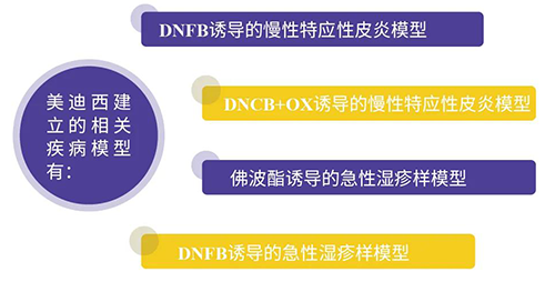 美迪西建立的特應性皮炎及濕疹模型