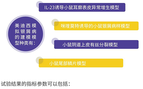 美迪西模擬銀屑病的建模模型種類
