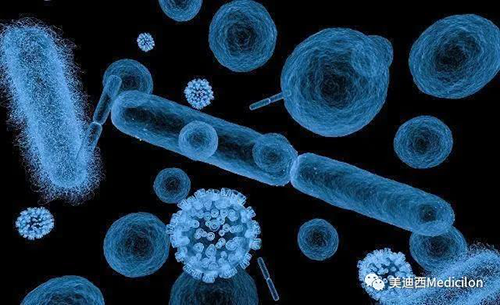 20分鐘，大多數細菌都可以繁衍一代 美迪西生物醫藥