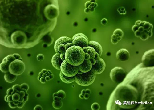 1分鐘，全中國就有7.5人被確診為患癌 美迪西生物醫藥