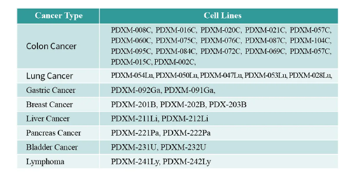 PDX小鼠腫瘤模型 PDX小鼠腫瘤模型