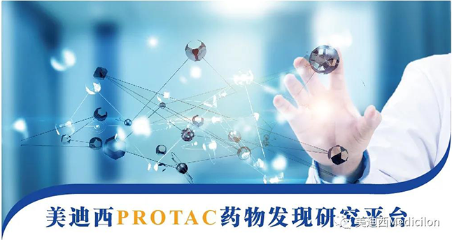 美迪西PROTAC藥物發現研究平臺