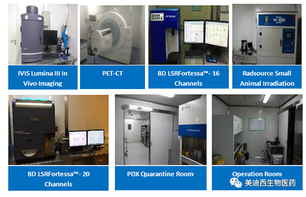 美迪西藥理部擁有IVIS Lumina III, PET-CT, BD LSRFortessa-16,Flow Cytometry等儀器 美迪西藥理部擁有IVIS Lumina III, PET-CT, BD LSRFortessa-16,Flow Cytometry等儀器