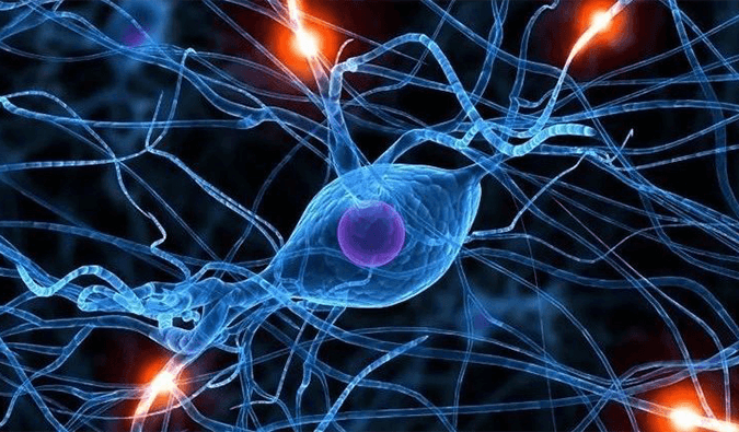 美迪西助力璃道醫藥靶向瞬時受體電位通道的小分子抑制劑LDS片獲批臨床
