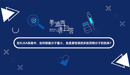 在ELISA實(shí)驗(yàn)，如何制備分子量小、免疫原性弱的多肽藥物分子的抗體？