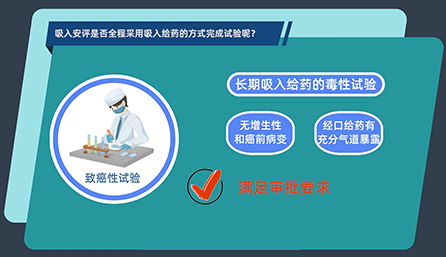 吸入安評是否全程采用吸入給藥的方式完成試驗?zāi)兀?></div></div>
            </div>
            <div   id=