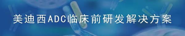 美迪西ADC臨床前研究解決方案.png 美迪西ADC臨床前研究解決方案.png